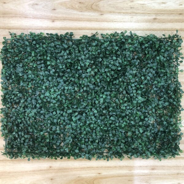 40x60 KD1111