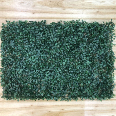 40x60 KD1111