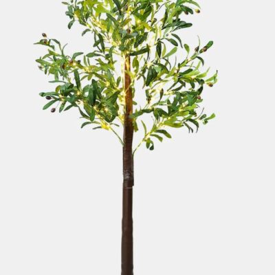 Arbol Olivo Con Luces Led Deco Vidriera Eventos Interiores